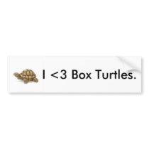 Box Turtle Bumper Sticker bumper stickers