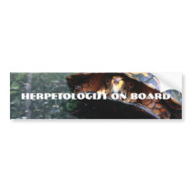 Box Turtle Bumper Sticker