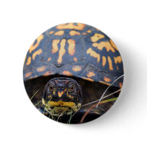 Box Turtle Pin