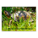 Box Turtle Card