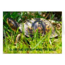 Box Turtle Card