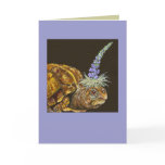 box turtle card