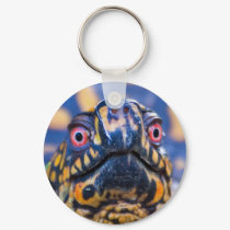 Box Turtle Keychain by ndcsbd1 Box Turtle Keychain