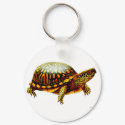Box Turtle Keychain