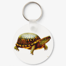 Box Turtle Keychain by twopurringcats Box Turtle Keychain