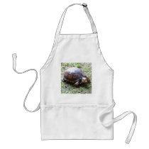 Box Turtle - Mossy Path Apron