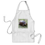 Box Turtle - Mossy Path Apron