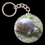 Box Turtle - Mossy Path keychains