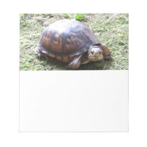Box Turtle - Mossy Path notepads