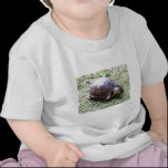 Box Turtle - Mossy Path t-shirts