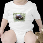 Box Turtle - Mossy Path t-shirts