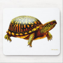 Box Turtle Mousepad