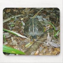 Box Turtle mousepads by Illusnist Box Turtle mousepads