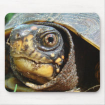 Box Turtle mousepads by GingerBarritt Box Turtle mousepads