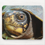 Box Turtle Mouse Pad
