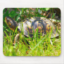 Box Turtle Mousepad by SuRi_Photography Box Turtle Mousepad