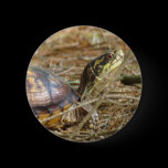 Box Turtle - Neck Out buttons