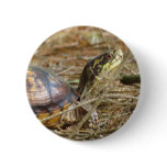 Box Turtle - Neck Out Pin