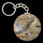 Box Turtle - Neck Out keychains
