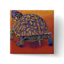 Box Turtle, tortoise Button