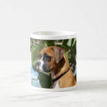 Boxeador Taza