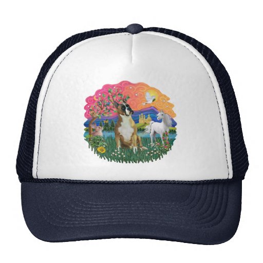 Boxer 1 (cropped) mesh hats