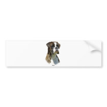 Boxer 9P41D-077oval bumper stickers by TraffordPhotos Boxer 9P41D-077oval bumper stickers