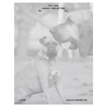 Boxer and bloodhound letterhead