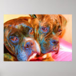 Boxer Art Canvas Print