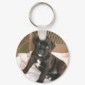 Boxer Baby! keychains by jsmullen Boxer Baby! keychains