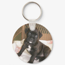 Boxer Baby! keychains