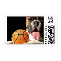 Boxer basketball postage