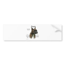 Boxer (brindle) History Design bumper stickers by GreyWolfCreation Boxer (brindle) History Design bumper stickers