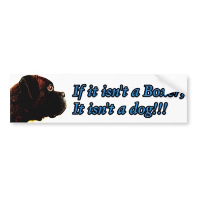 Boxer bumper sticker by ritmoboxer
