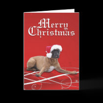 Boxer Christmas Card