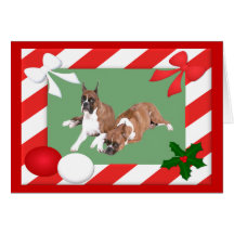 Boxer Christmas Card Frame