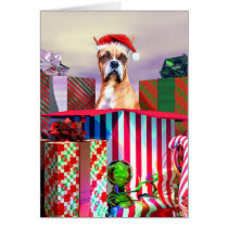 Boxer Christmas Surprise cards