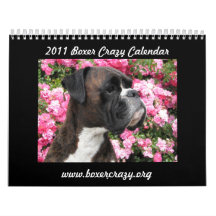 Boxer Crazy Calendar 2011