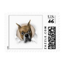 Boxer (Cropped) Busting Out - Customized stamp