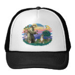 Boxer (cropped ears) mesh hat