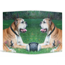 Boxer dad and puppy binder