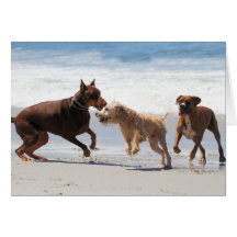 Boxer Doberman - Play Date at the Beach Cards