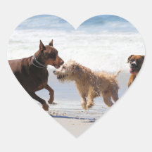 Boxer Doberman - Play Date at the Beach Heart Sticker
