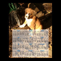 Boxer dog 2012 calendar poster posters