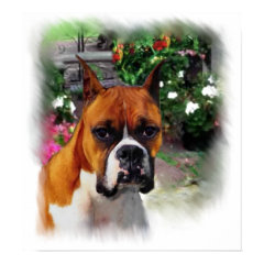 Boxer Dog Art Print print