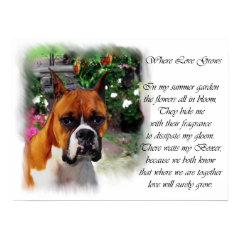 Boxer Dog Art Print print