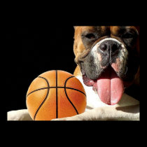 Boxer dog basketball poster posters