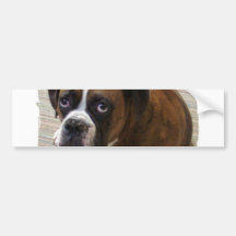 Boxer Dog Bumper Sticker