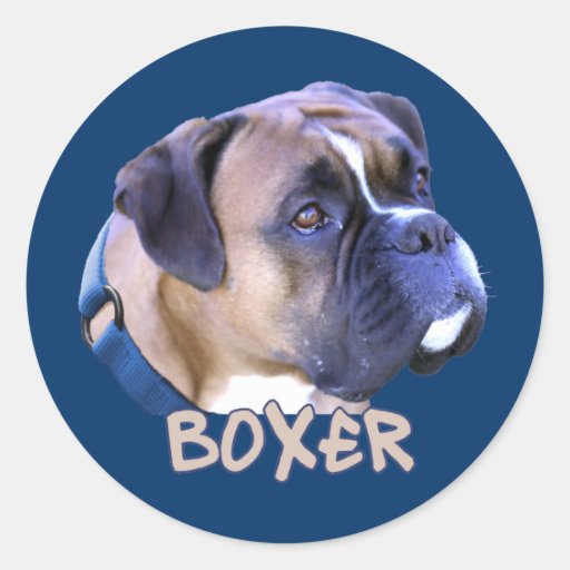 Boxer Dog Classic Round Sticker Zazzle