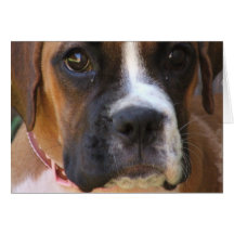 Boxer Dog Design Greeting Card
